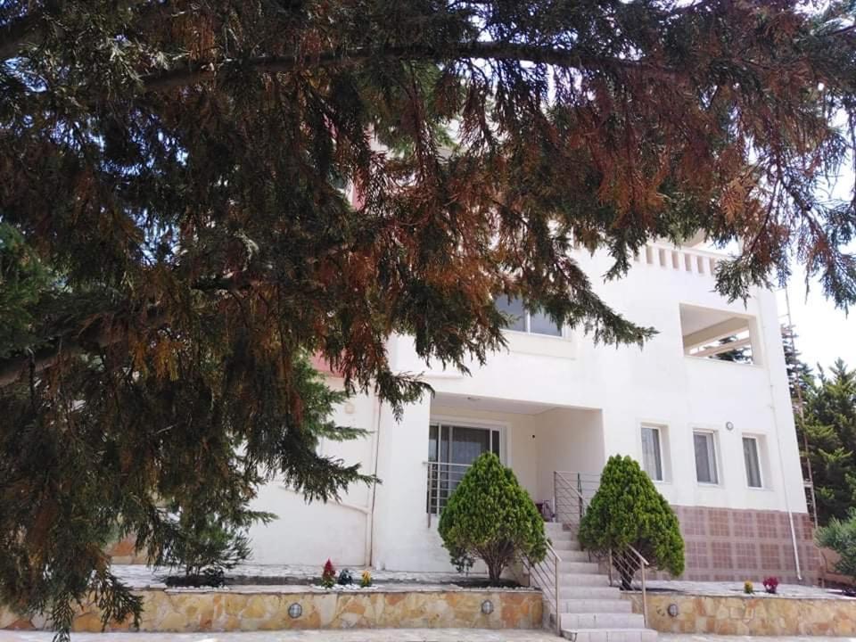 Treasures B&B Paloukia 外观 照片