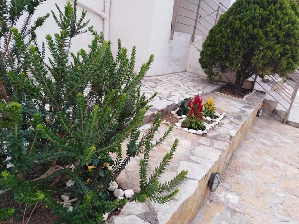 Treasures B&B Paloukia 外观 照片